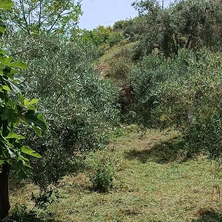 Gusto Di Casa *